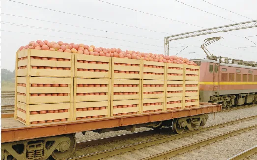 J-K LG, CM Thank Rlys For Launching Apple Parcel Train From Kashmir To Delhi