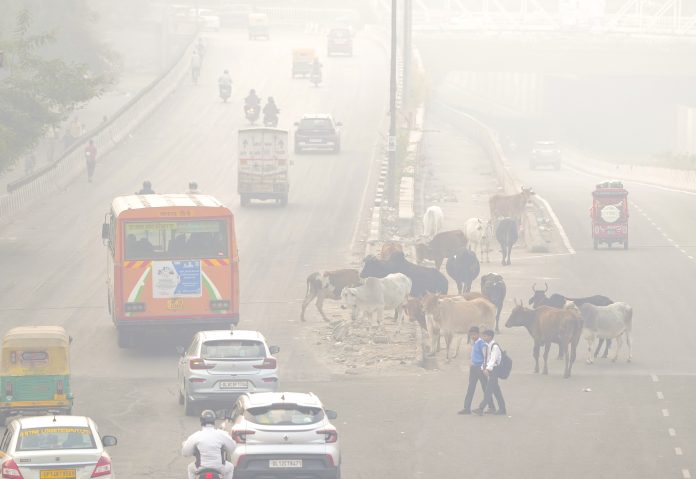 Delhi Chokes Under ‘Very Poor’ Air Quality; AQI at 360